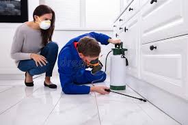 Best Indoor Pest Control  in Vinita, OK